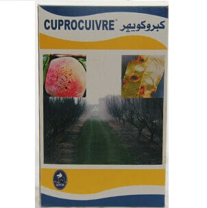 Cuprocuivre