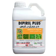 Dipiril Plus