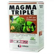 Magma Triple