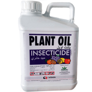 Plant oil