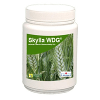 Skylla WDG