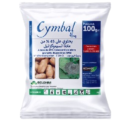Cymbal 45