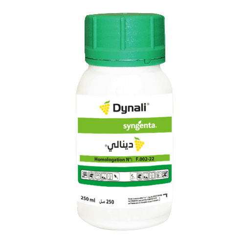 Dynali Dc