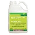 Glypho-Cap