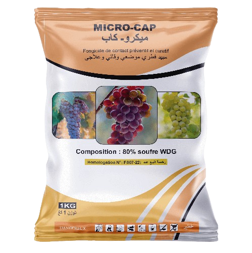 Micro-cap