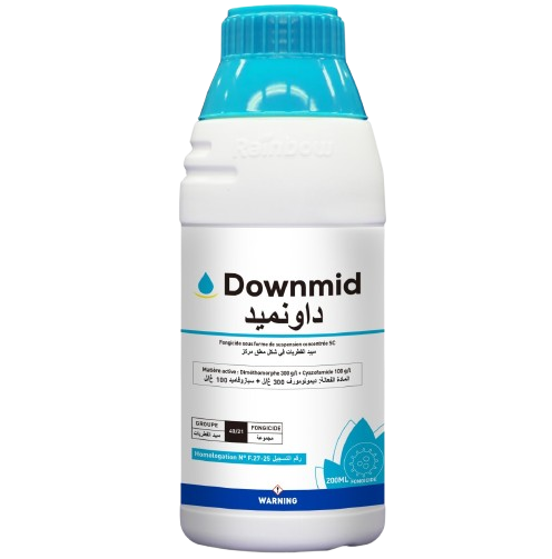 DOWNMID