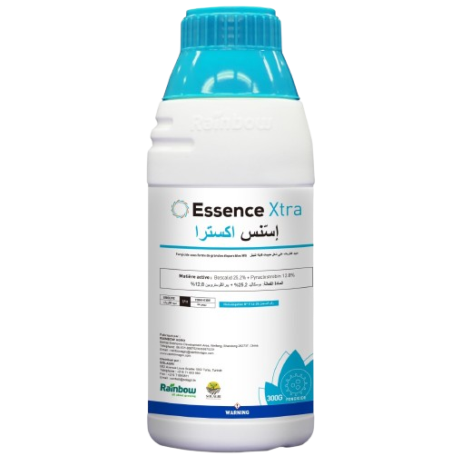 ESSENCE Xtra